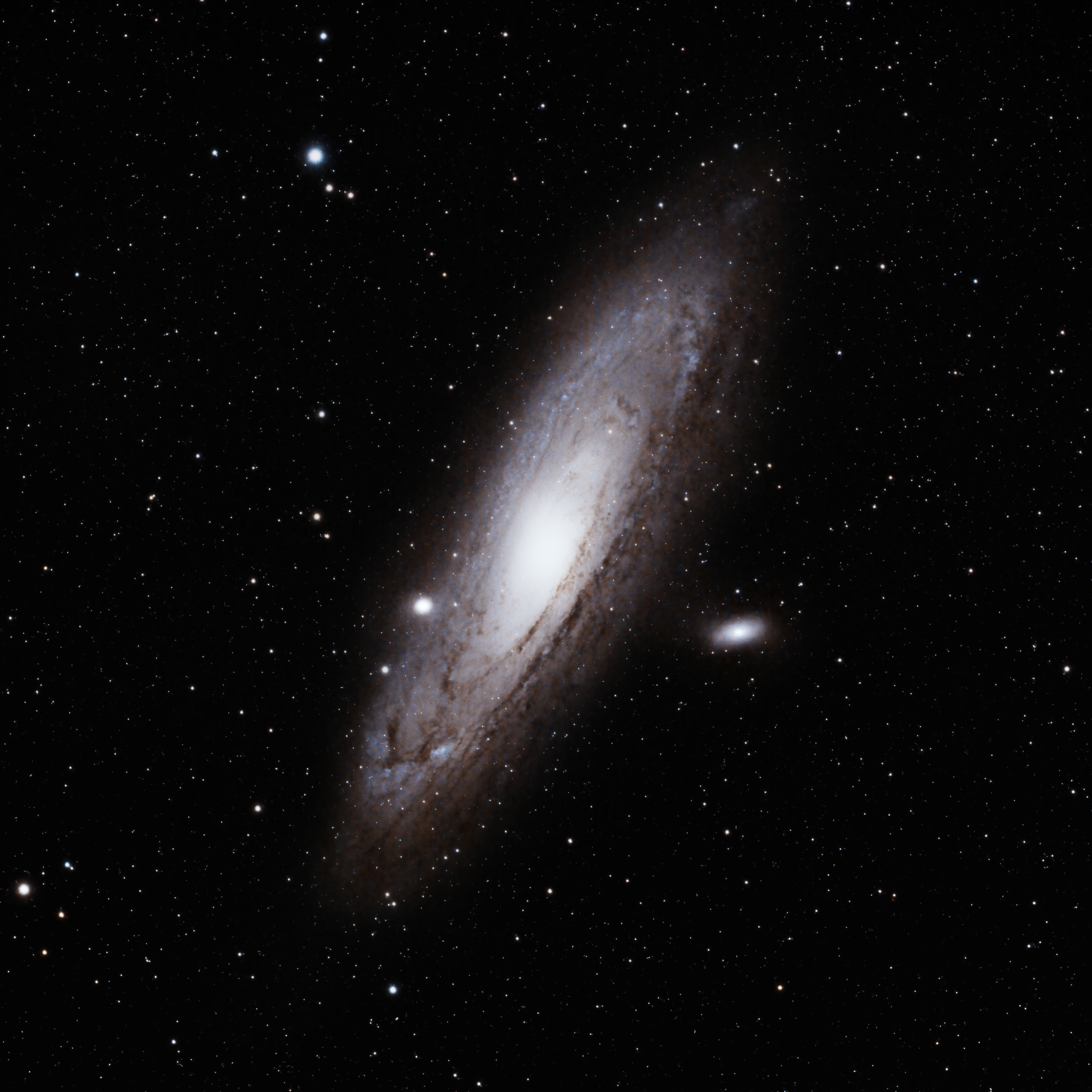 M31 - Andromeda Galaxy — David Foust